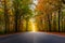 A beautiful road through a forest during autumn