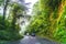 Beautiful road in the montains, rainforest Roads of Costa Rica, Heredia province, Costa Rica