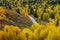 Beautiful road to Hemu village in colorful autumn in morning golden light, Xinjiang, China