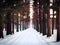 beautiful road in winter forest, Ai generated