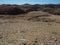 Beautiful rock mountain texture landscape background of Namib desert unique geography with splitting stone ground and desert plant