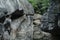 Beautiful rocky cliff with water reflection image.