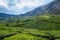 Beautiful rolling hills on the foothill of a mountain