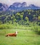 Beautiful Romanian countryside scenery in Romania, Transylvania