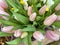 Beautiful romantic bouquet of pink tulips background. Lots of tulips, large bouquet. Top view