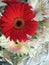 Beautiful and romantic bouquet of red gerberas and white alstroemerias in spring