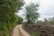 Beautiful romantic country road with stone fence in Istria, Croatia.