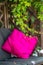 Beautiful, romantic seat in the garden with pink cushion and climbing ivy.
