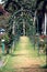 Beautiful rose garden entrance, Flower garden lush greenery.