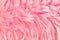 Beautiful rose gold color bird feathers pattern texture background