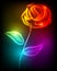 Beautiful rose made of colorful light