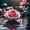 Beautiful rose sitting on water - ai generated image