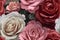Beautiful roses as background, closeup,  Floral pattern