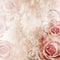 Beautiful Roses Background ( 1 of set)