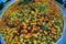 Beautiful round flower bed with marigolds, fisheye lens photography