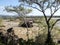 Beautiful Ruacana falls on the border of Namibia and Botswana.