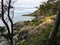 The beautiful rugged coastline of the famous east sooke coast trail along the rocky shores of southern Vancouver island