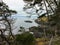 The beautiful rugged coastline of the famous east sooke coast trail along the rocky shores of southern Vancouver island