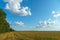 A beautiful rural field against a background of blue sky and clouds. Agro-industrial complex for the cultivation of cereals, wheat