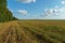 A beautiful rural field against a background of blue sky and clouds. Agro-industrial complex for the cultivation of cereals, wheat