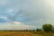 A beautiful rural field against a background of blue sky and clouds. Agro-industrial complex for the cultivation of cereals, wheat