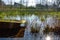 Beautiful rural Flanders, flooded meadow