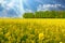 Beautiful rural idyllic dutch farm landscape, vibrant yellow rapeseed flower field, green forest, bright springtime sun rays -