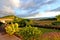 Beautiful rural landscape with blue sky, spectacular clouds and wheat fields in Auvergne region in France