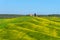 Beautiful rural landscape, cypress trees, green field and blue sky in Tuscany near Pienza. Italy