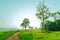 Beautiful rural landscape of green grass field with white flowers and dusty country road and trees on hill near the mountain and c