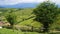 Beautiful rural landscape with the traditional village houses