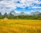 Beautiful rural landscape.Vang Vieng, Laos.