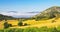 Beautiful rural quiet yellow green landscape valley, olive grove, hills, sea of low morning stratus clouds, agriculture fields,
