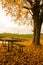 Beautiful rural ride in autumn time in dark forest