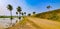 Beautiful rural road passing through green paddy fields in Tadepalligudem, Andhrapradesh, India