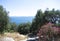 Beautiful rural scene of olive groves with the blue sea as a backdrop  Corfu island, Nissaki village