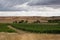 Beautiful rural scene with vineyards, crops and olives background, Castilla La Mancha, Spain