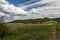 Beautiful rural scenery with field and pretty vivid cloudy sky