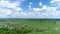 Beautiful rural summer landscape from a height in Russia