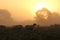 Beautiful Rural Sunset with Sheep