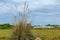 A beautiful rural view on the background of a blue sky