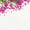 Beautiful rustic Floral background