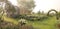 A beautiful Rustic Shed and Vine Covered Arbor in Cottage Garden