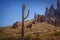 Beautiful Saguaro Cactus