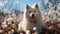 Beautiful Samoyed puppy sitting in the nature, melting snow around and spring flowers, blooming season, sun, spring colors.