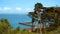 Beautiful San Francisco Bay - view from Battery East Park - travel photography