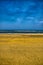 Beautiful sand beach with waves, North Sea, Zandvoort near Amste