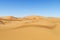 Beautiful sand desert Sahara dunes and blue sky