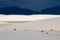 Beautiful sand dunes and dramatic mountains in White Sands