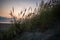 Beautiful sand dunes landscape on a amazing beach. Nice color on the sky from the golden hour light